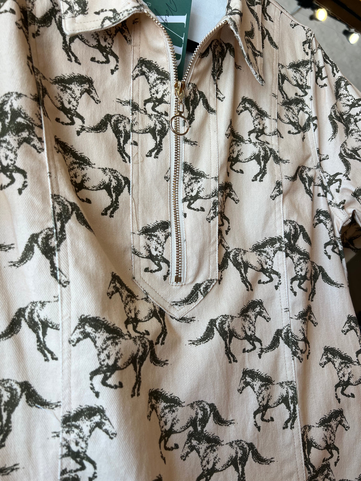 Wild Horses Dress