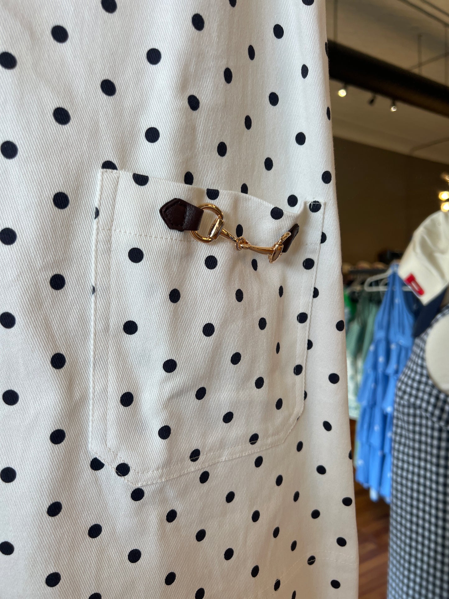 Collar Dot Dress