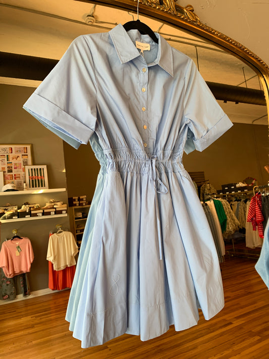 Champagne and Chambray Dress