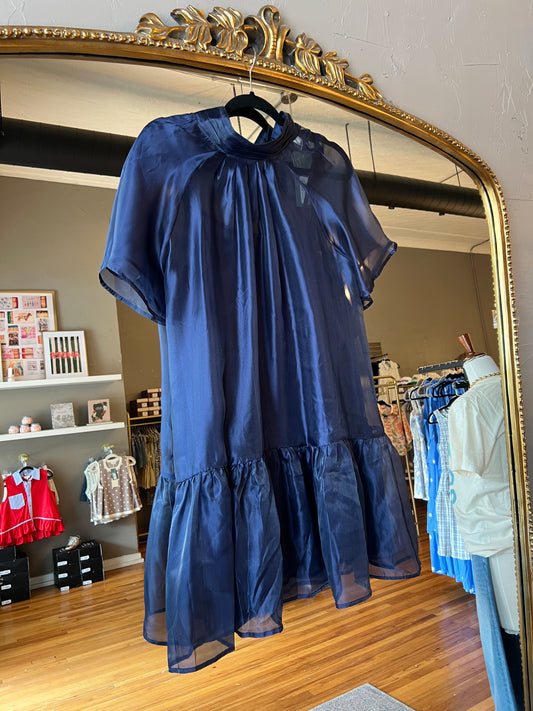Guest In Blue Dress