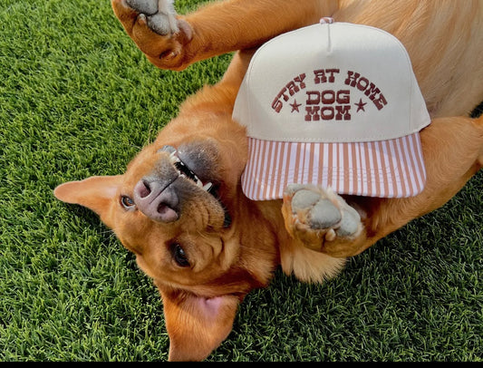 Dog Mom Trucker