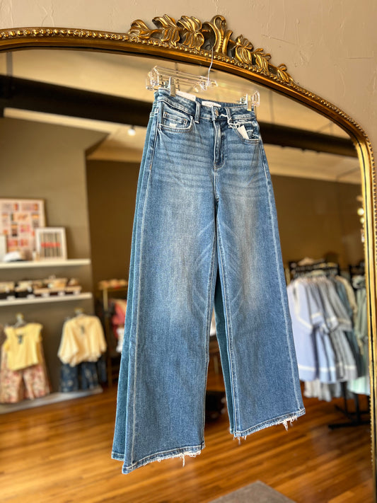 Blue Soul Flying Monkey Denim