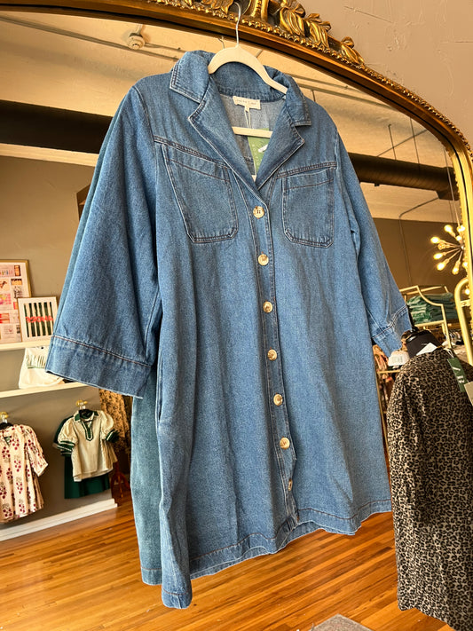 Denim Fever Dress