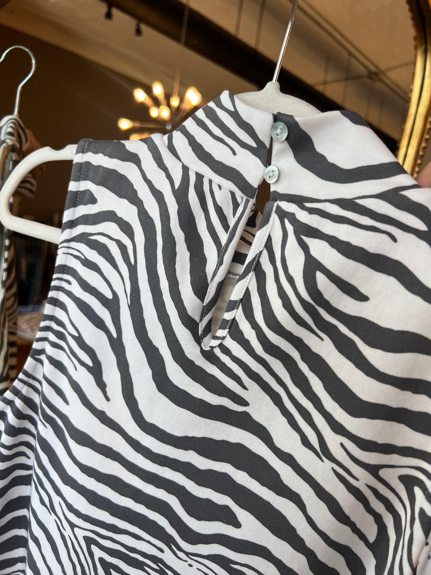 Zebra Fun Dress