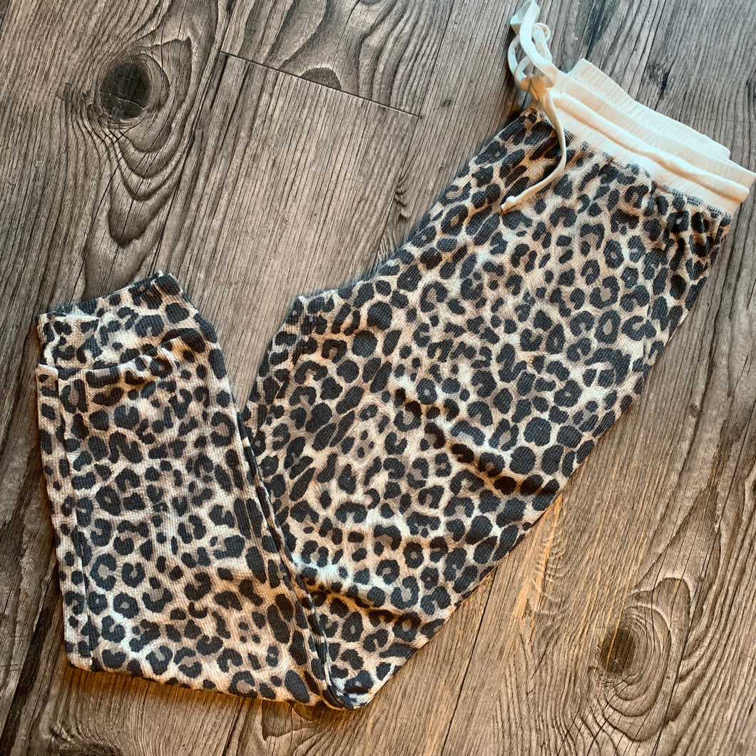 Cheetah Joggers