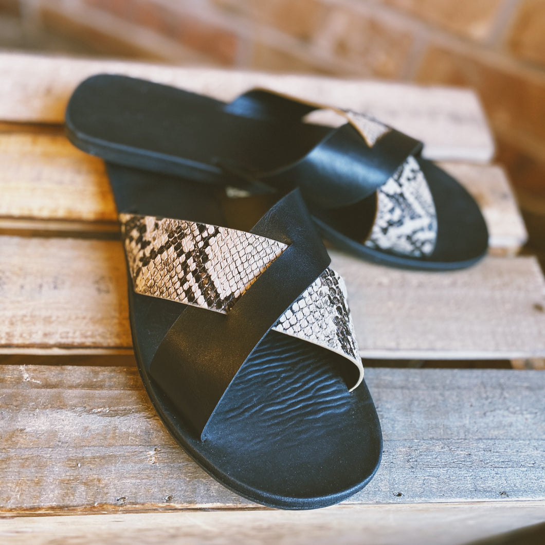 Black CrissCross